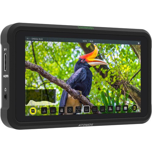 Atomos Shinobi monitorius